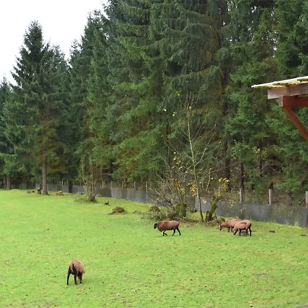 Modern Holiday Home In Rubeland With A Garden Holiday home *